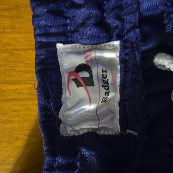 Mens Purple Active Shorts 2X: 2XA - Picture 2 of 5